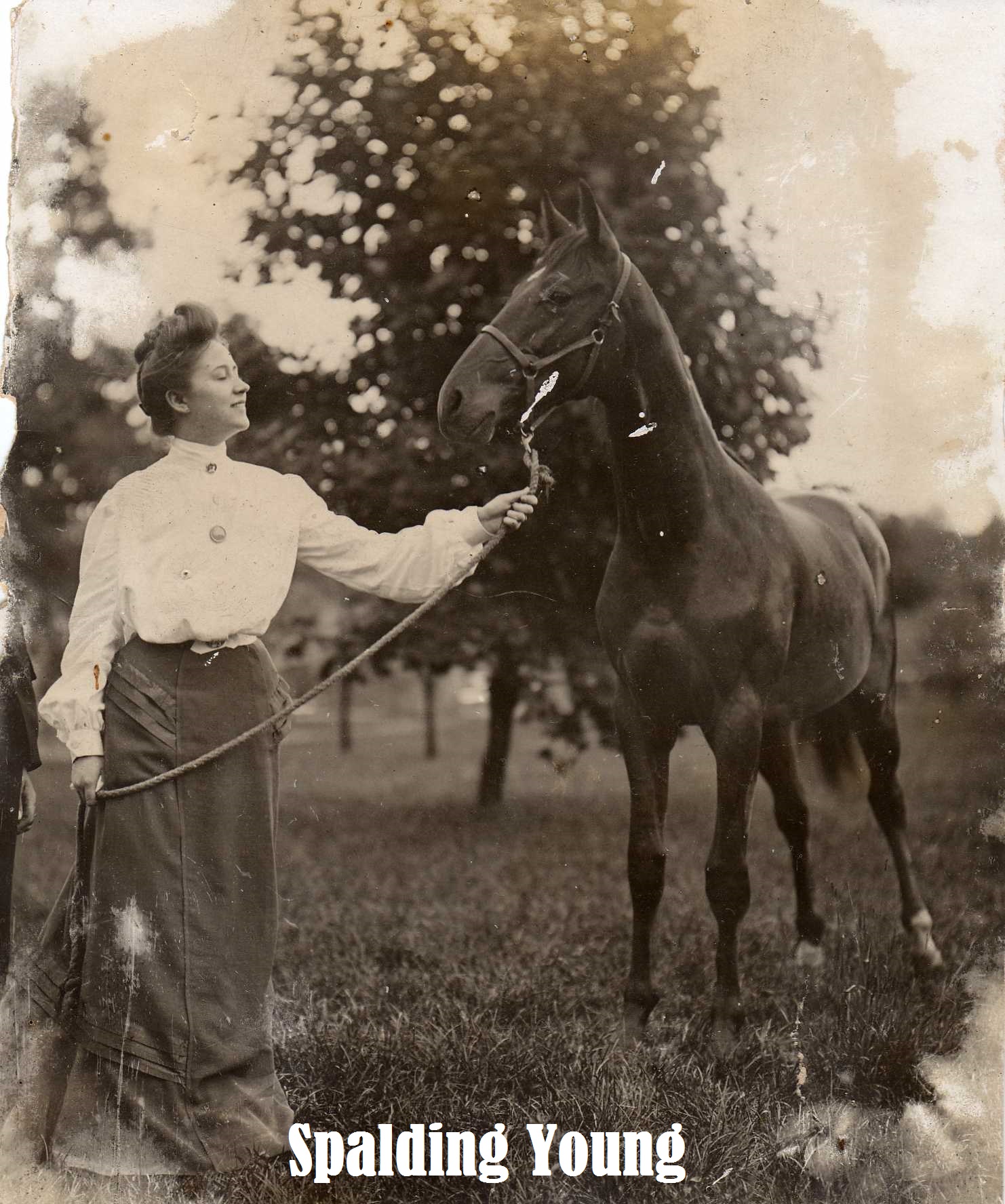 17  Spalding Young paint